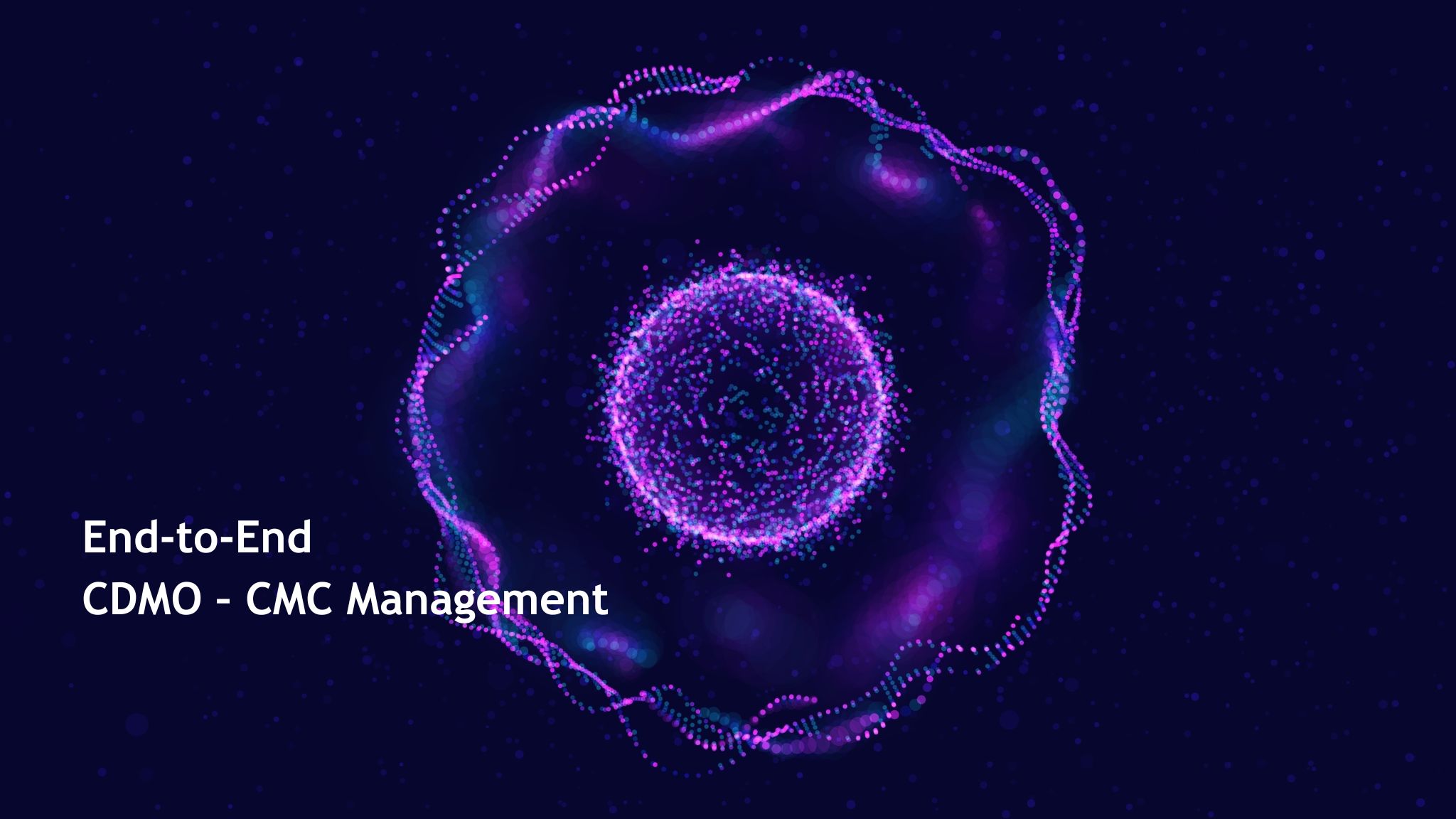 End to End CDMO - CMC Management